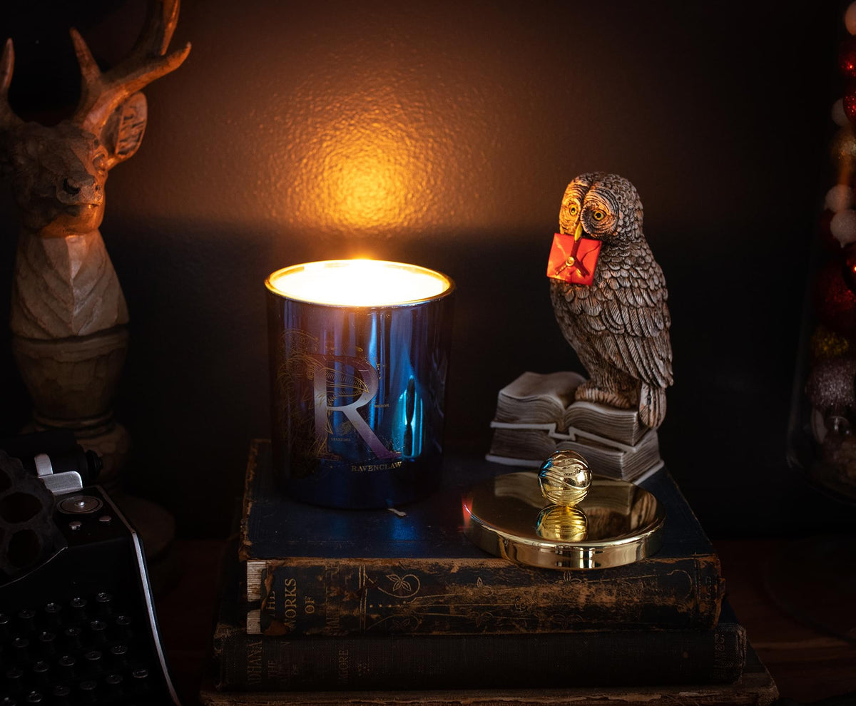 Harry Potter House Ravenclaw Premium Scented Soy Wax Candle