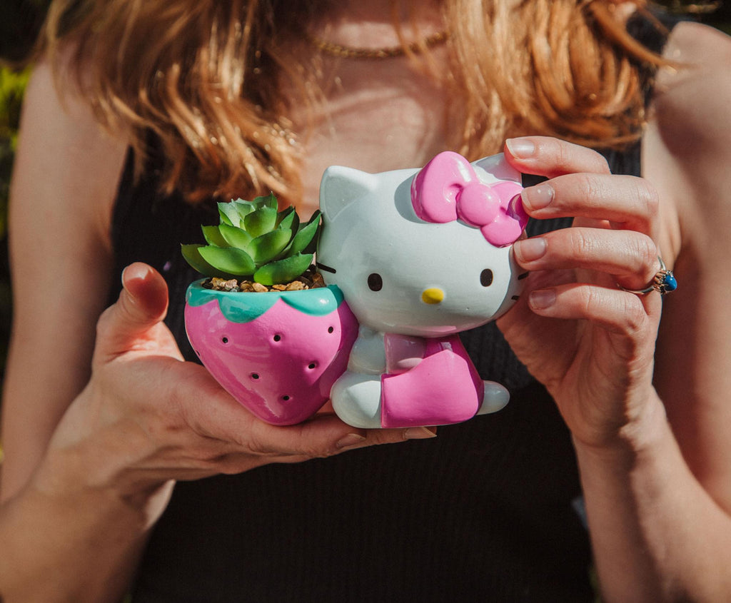 Sanrio Hello Kitty Strawberry 5-Inch Planter With Artificial Succulent
